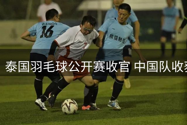 泰国羽毛球公开赛收官 中国队收获混双金牌及两项银牌