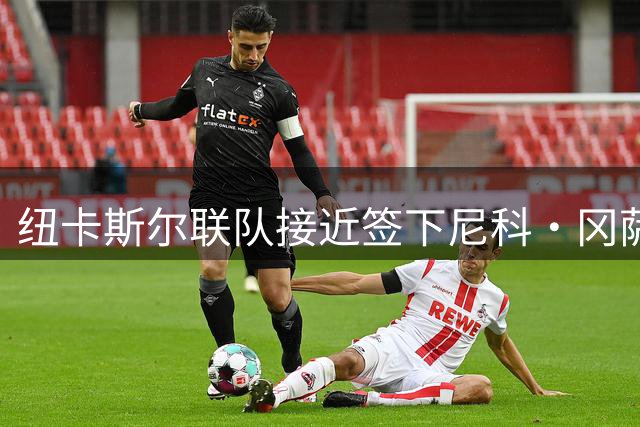 纽卡斯尔联队接近签下尼科·冈萨雷斯 转会谈判取得突破